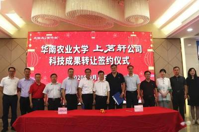 新華章，耀茶界 上茗軒旗艦店開業(yè)慶典暨華南農(nóng)業(yè)大學(xué)科技成果轉(zhuǎn)讓簽約儀式圓滿落幕