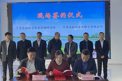 大豆新品種成果轉化 裕田農(nóng)業(yè)成寧夏產(chǎn)業(yè)新亮點